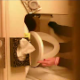 A hidden camera records a woman peeing on a toilet, then wiping herself.